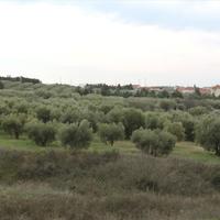 Земельный участок в Греции, Центральная Македония, Центр, 1410 кв.м.