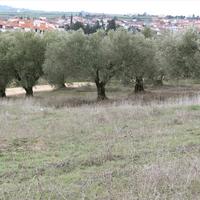 Земельный участок в Греции, Центральная Македония, Центр, 1410 кв.м.