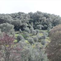 Land plot in Greece, Ionian Islands