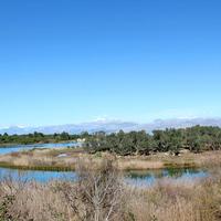 Land plot in Greece, Ionian Islands, 7500 sq.m.
