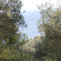 Land plot in Greece, Ionian Islands, 4220 sq.m.
