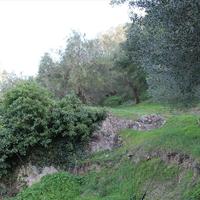 Land plot in Greece, Ionian Islands, 4220 sq.m.