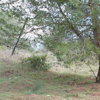 Land plot in Greece, Central Macedonia, Center