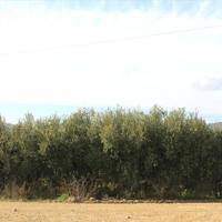 Земельный участок в Греции, Центральная Македония, Центр