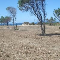 Land plot in Greece, Ionian Islands, 3000 sq.m.