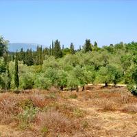 Land plot in Greece, Ionian Islands, 1200 sq.m.