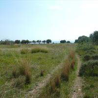 Land plot in Greece, Crete, Chania, 21600 sq.m.