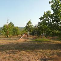 Land plot in Greece, Central Macedonia, Khal, 18000 sq.m.