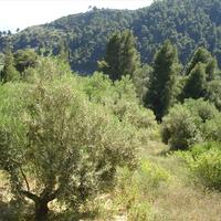 Land plot in Greece, Central Macedonia, Center