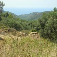 Land plot in Greece, Ionian Islands, 1033 sq.m.