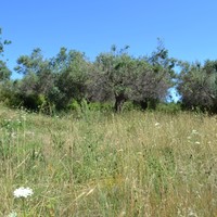 Land plot in Greece, Ionian Islands, 1033 sq.m.