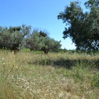 Land plot in Greece, Ionian Islands, 1033 sq.m.