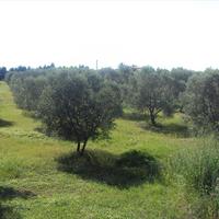 Land plot in Greece, Central Macedonia, Center