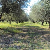 Land plot in Greece, Central Macedonia, Center