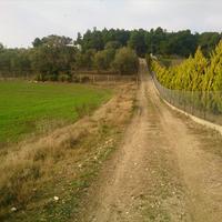 Земельный участок в Греции, Центральная Македония, Центр, 8000 кв.м.