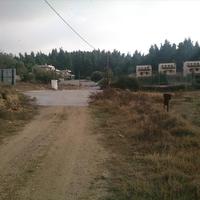 Земельный участок в Греции, Центральная Македония, Центр, 8000 кв.м.