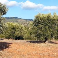 Земельный участок в Греции, Центральная Македония, Центр