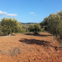 Земельный участок в Греции, Центральная Македония, Центр