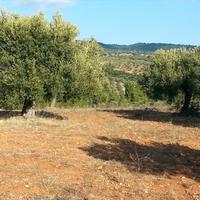 Земельный участок в Греции, Центральная Македония, Центр