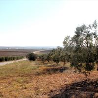 Land plot in Greece, Central Macedonia, Khal, 4000 sq.m.