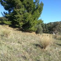 Земельный участок в Греции, Центральная Македония, Центр