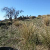 Земельный участок в Греции, Центральная Македония, Центр