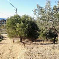 Land plot in Greece, Central Macedonia, Center