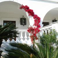 Villa in Greece, Kol, 580 sq.m.