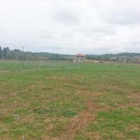 Land plot in Greece, Central Macedonia, Center, 3100 sq.m.