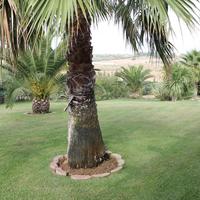 Villa in Greece, Central Macedonia, Center, 390 sq.m.