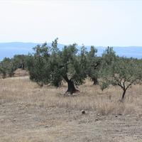 Land plot in Greece, Central Macedonia, Center