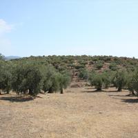 Land plot in Greece, Central Macedonia, Center