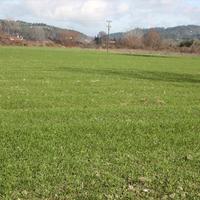 Land plot in Greece, Central Macedonia, Center