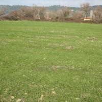 Land plot in Greece, Central Macedonia, Center