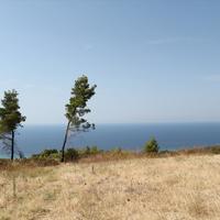 Land plot in Greece, Central Macedonia, Center, 51000 sq.m.