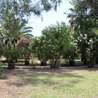 Вилла в Греции, Центральная Македония, Центр, 200 кв.м.