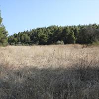 Земельный участок в Греции, Центральная Македония, Центр