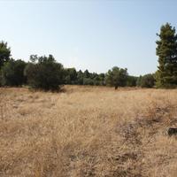 Земельный участок в Греции, Центральная Македония, Центр