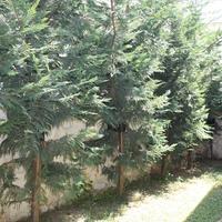 Другое в Греции, Центральная Македония, Центр, 100 кв.м.