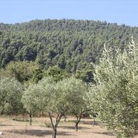 Land plot in Greece, Central Macedonia, Center