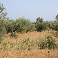 Land plot in Greece, Central Macedonia, Center
