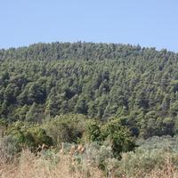 Land plot in Greece, Central Macedonia, Center