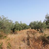Land plot in Greece, Central Macedonia, Center