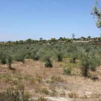 Land plot in Greece, Central Macedonia, Center