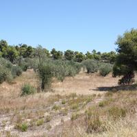 Land plot in Greece, Central Macedonia, Center