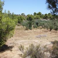 Land plot in Greece, Central Macedonia, Center