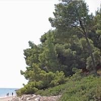 Отель (гостиница) в Греции, Центральная Македония, Центр, 580 кв.м.