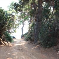 Отель (гостиница) в Греции, Центральная Македония, Центр, 580 кв.м.