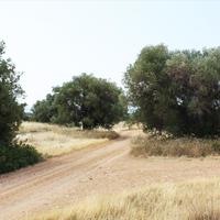 Land plot in Greece, Central Macedonia, Center