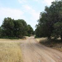Land plot in Greece, Central Macedonia, Center